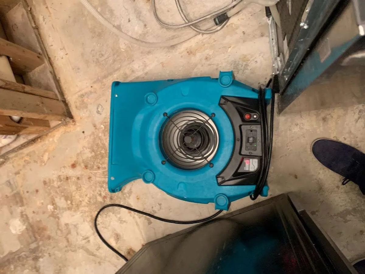 Air mover drying equipment for Mold Remediation & Removal in Albertville